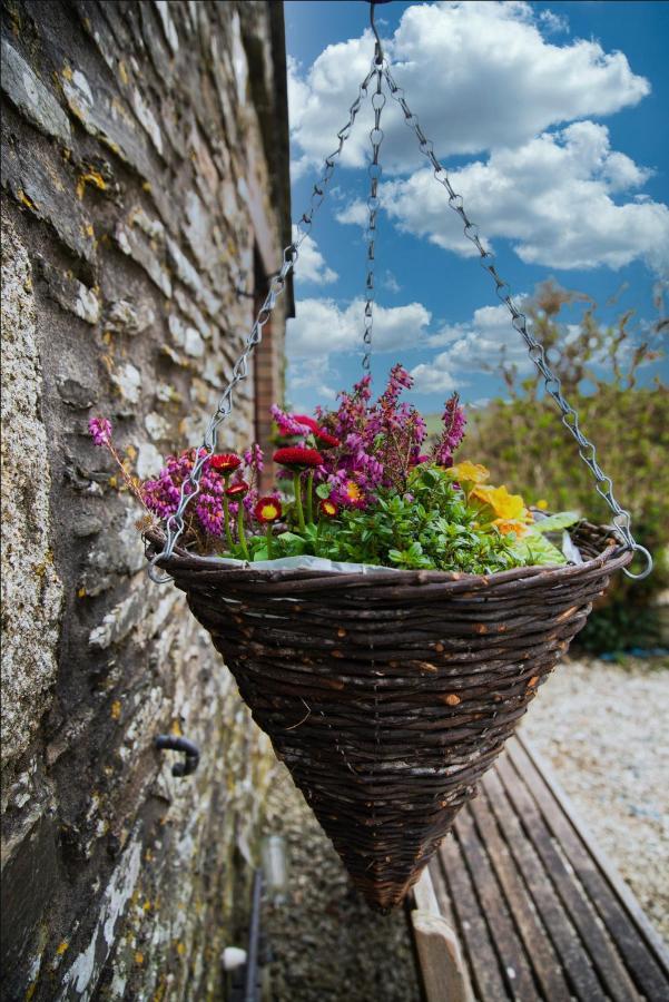Polrunny Farm Seaberry Cottage With A Sea View And Log Burner Boscastle Εξωτερικό φωτογραφία
