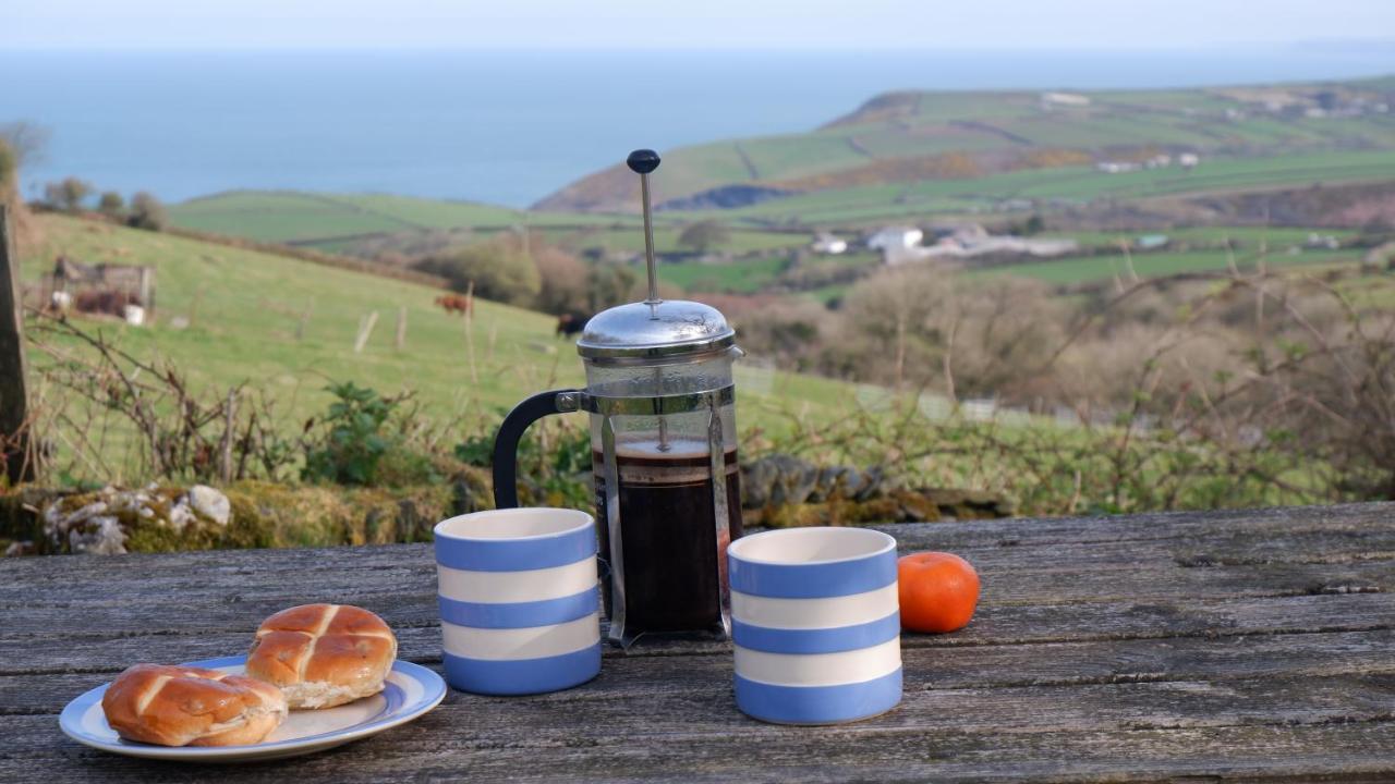 Polrunny Farm Seaberry Cottage With A Sea View And Log Burner Boscastle Εξωτερικό φωτογραφία