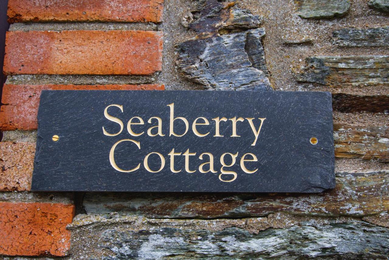 Polrunny Farm Seaberry Cottage With A Sea View And Log Burner Boscastle Εξωτερικό φωτογραφία