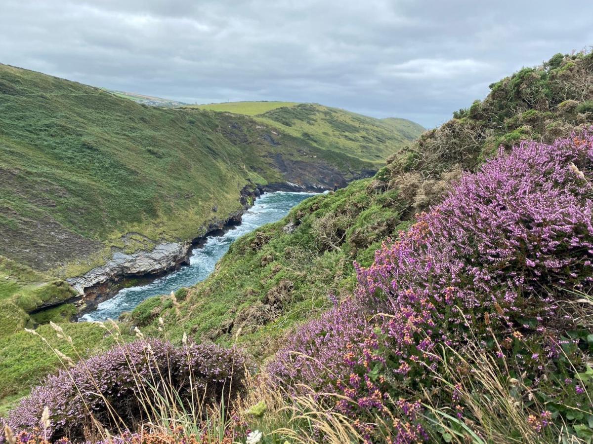 Polrunny Farm Seaberry Cottage With A Sea View And Log Burner Boscastle Εξωτερικό φωτογραφία