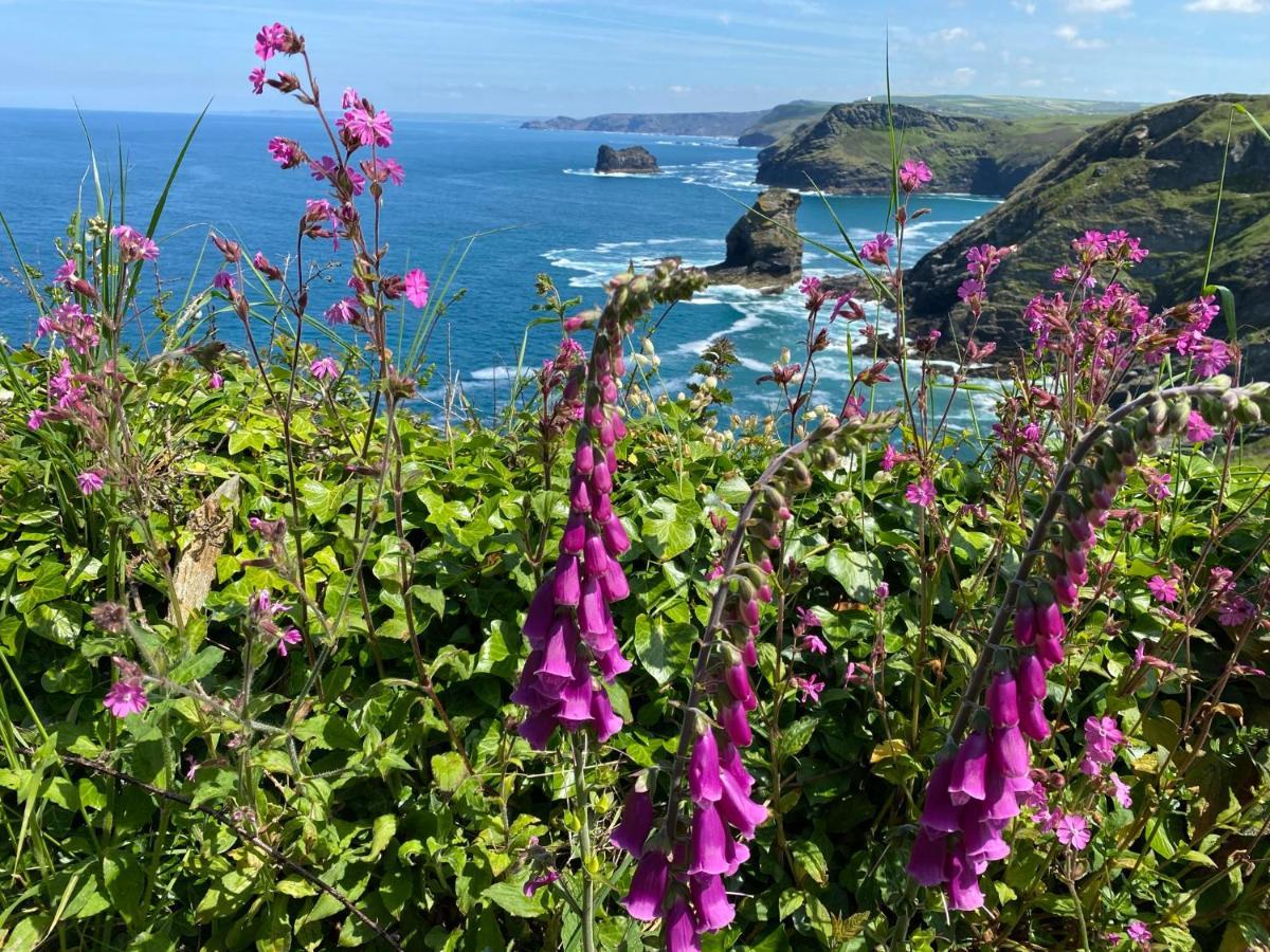 Polrunny Farm Seaberry Cottage With A Sea View And Log Burner Boscastle Εξωτερικό φωτογραφία