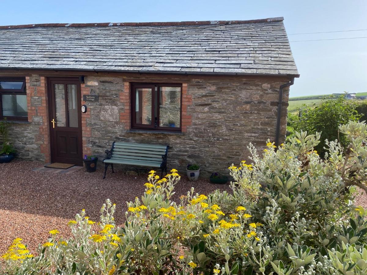 Polrunny Farm Seaberry Cottage With A Sea View And Log Burner Boscastle Εξωτερικό φωτογραφία
