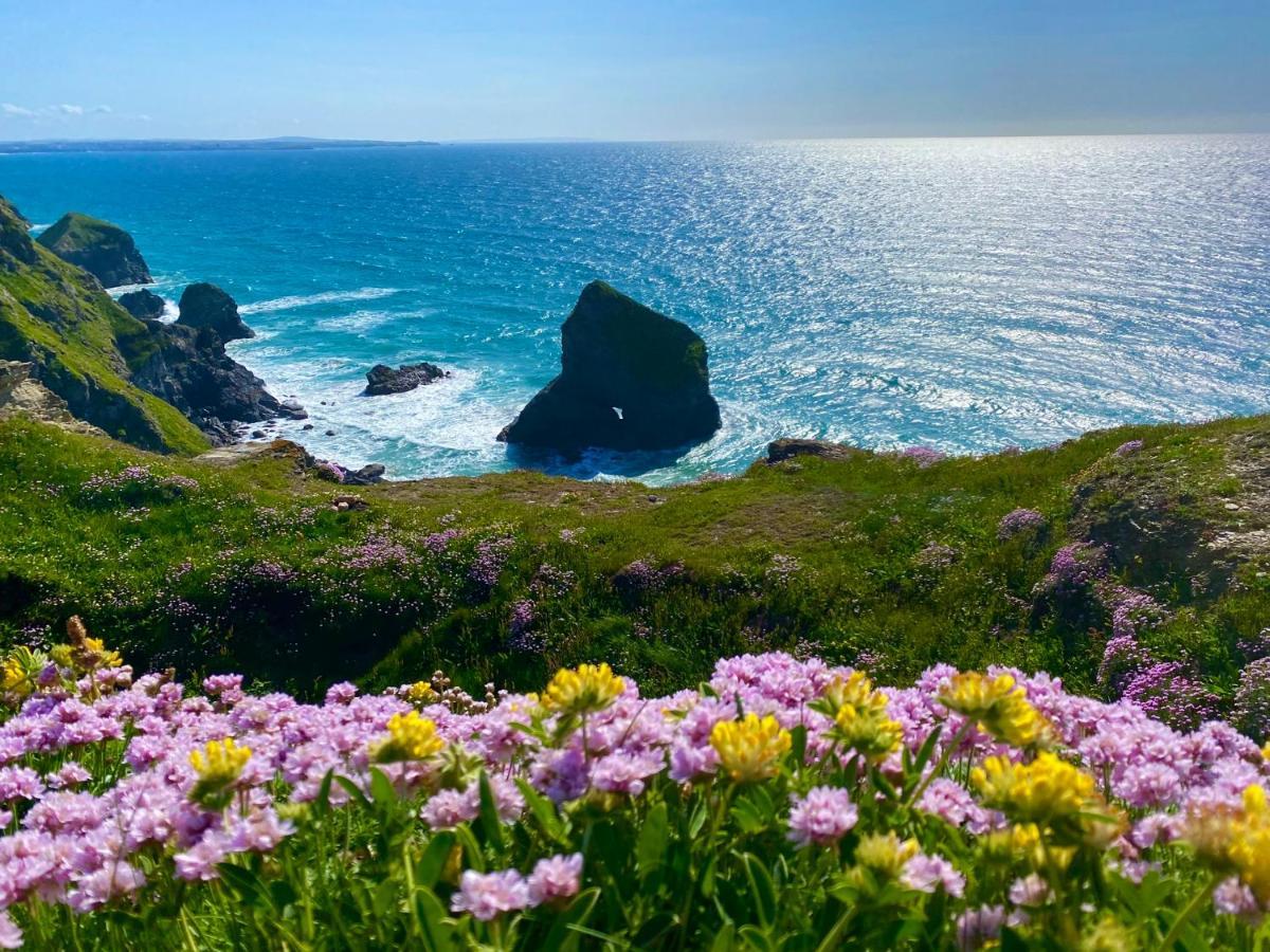Polrunny Farm Seaberry Cottage With A Sea View And Log Burner Boscastle Εξωτερικό φωτογραφία