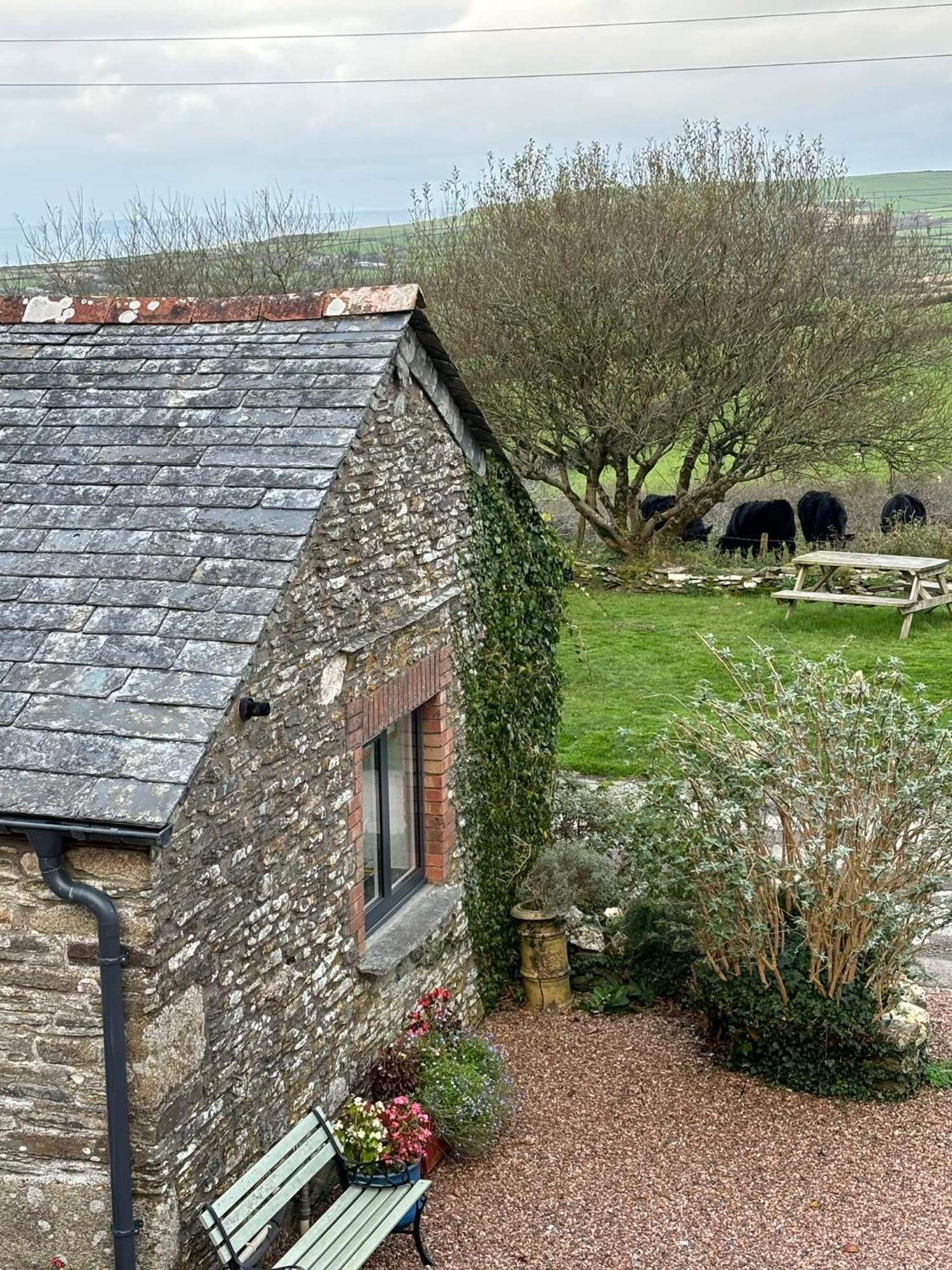 Polrunny Farm Seaberry Cottage With A Sea View And Log Burner Boscastle Εξωτερικό φωτογραφία